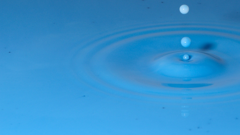 DSC 6382 202 (800x450)