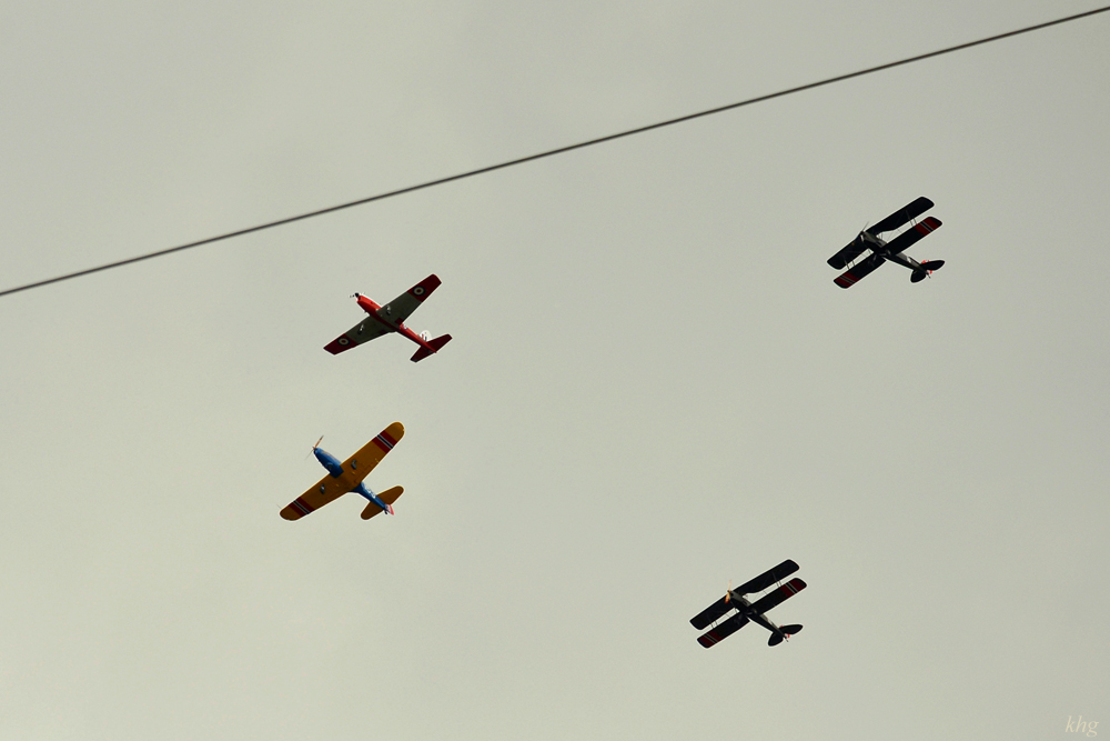 DSC 6395 Flieger