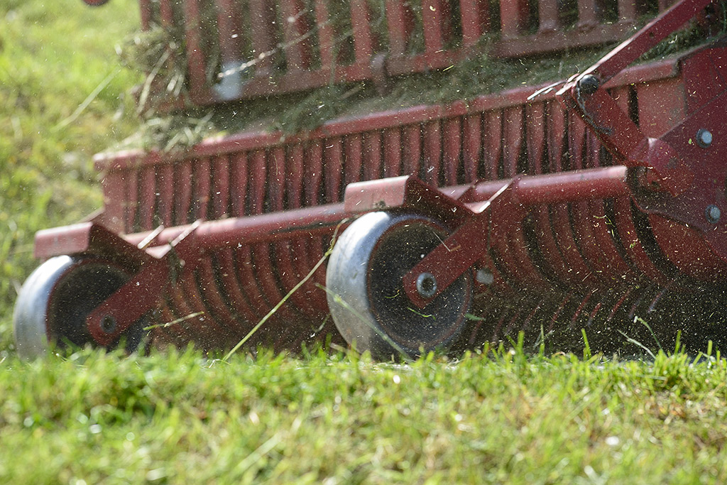 DSC 6409kws