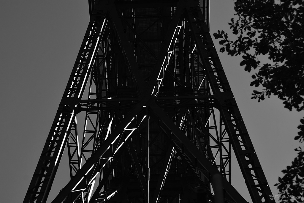 DSC 6434sw