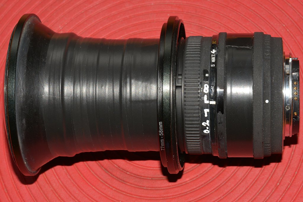 DSC 65