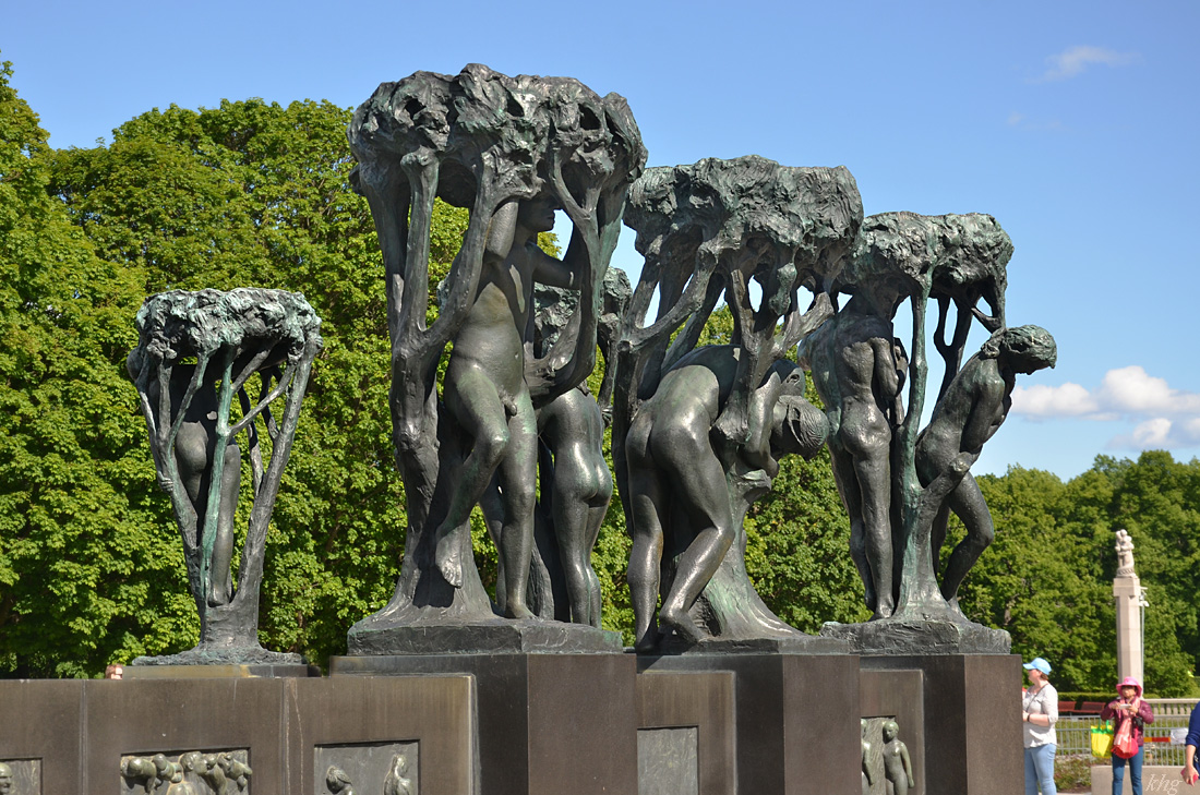 DSC 6532 Oslo