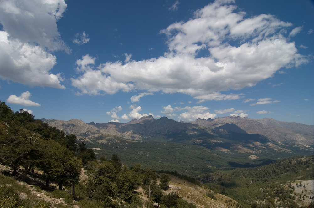 DSC 6558 1000