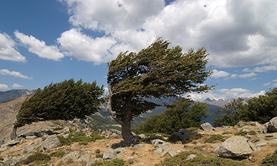 DSC 6563 Col de St. Pierre 900