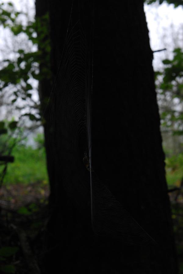 DSC 6583