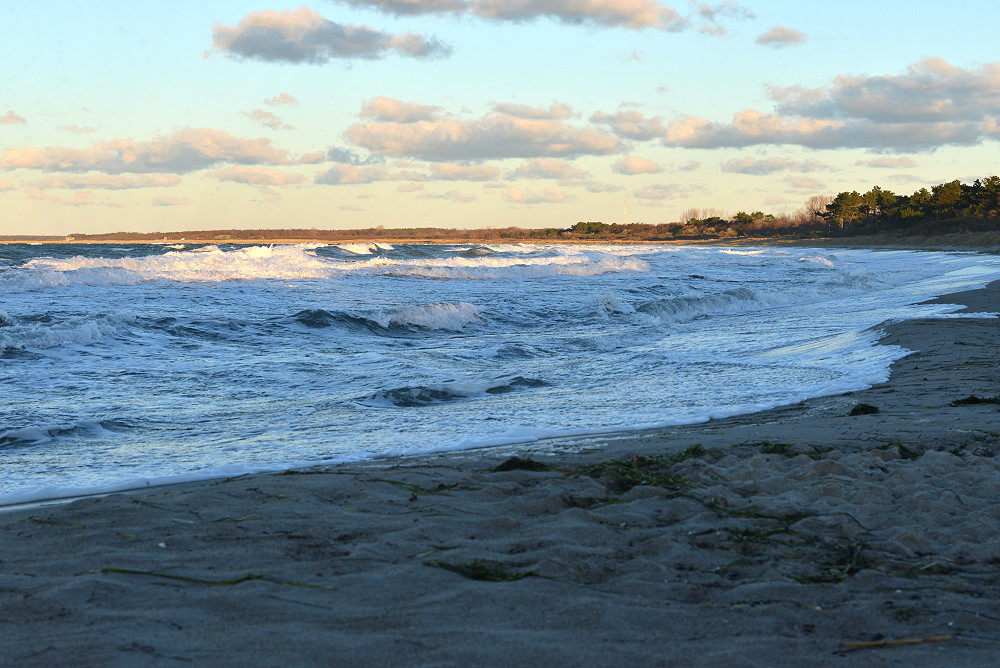DSC 6644 24 11 13