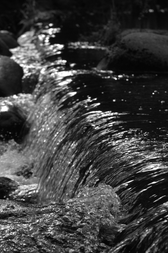 DSC 6659 small