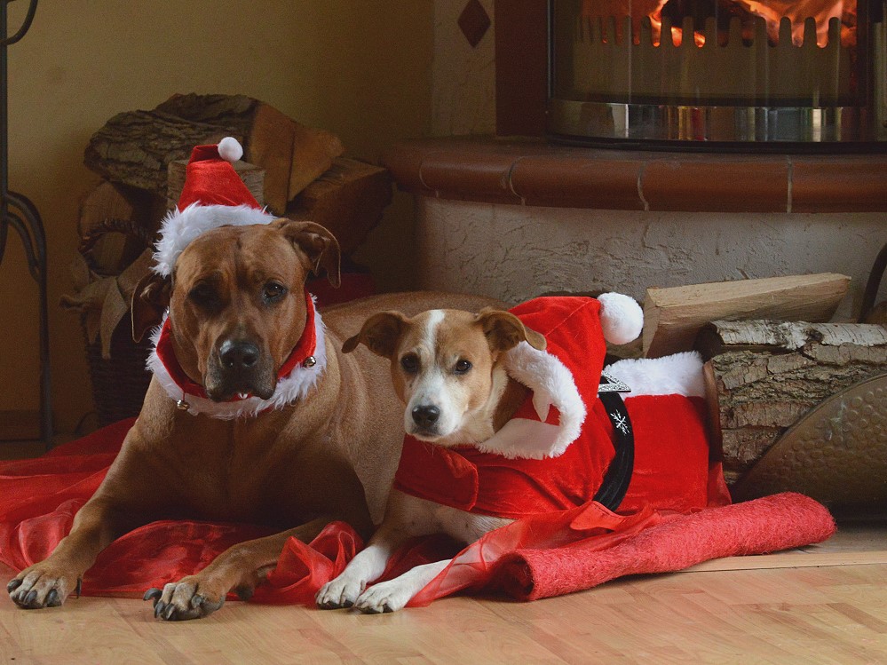 DSC 6669 Kyra Anni Advent2013