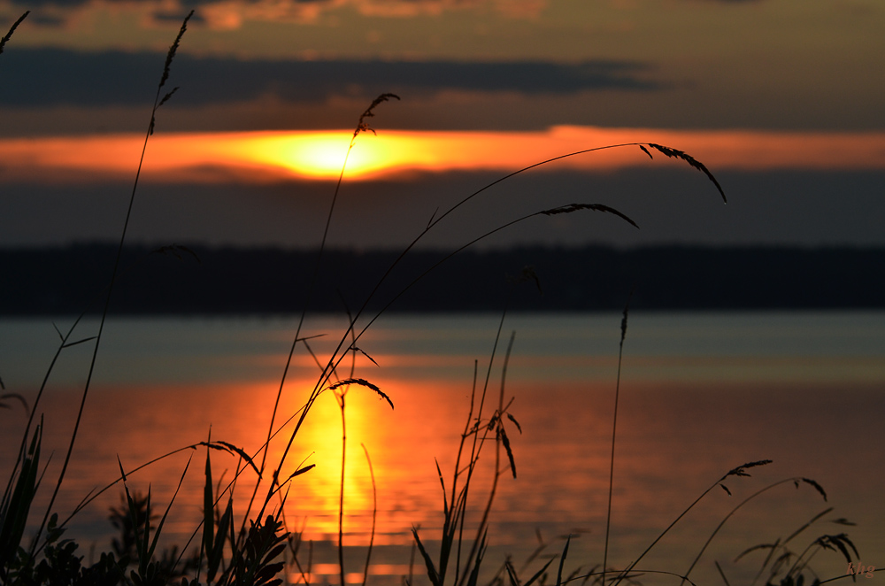 DSC 6730 Stille