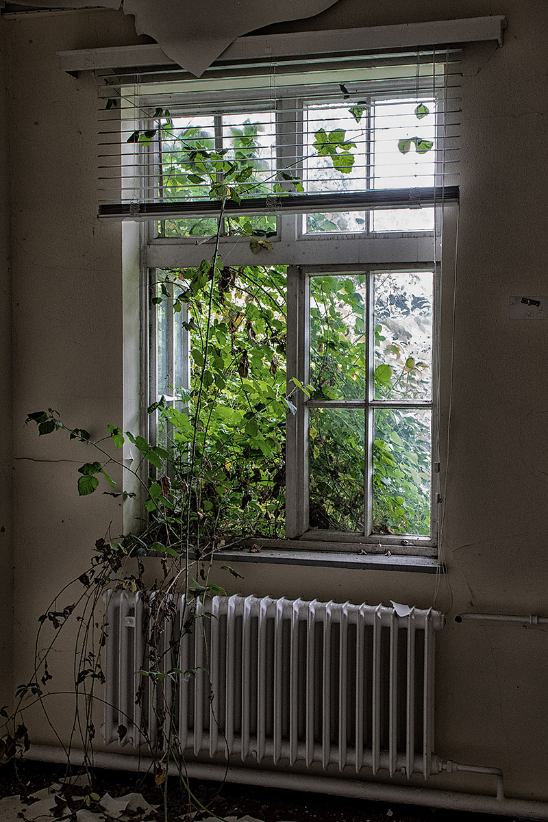 DSC 6762