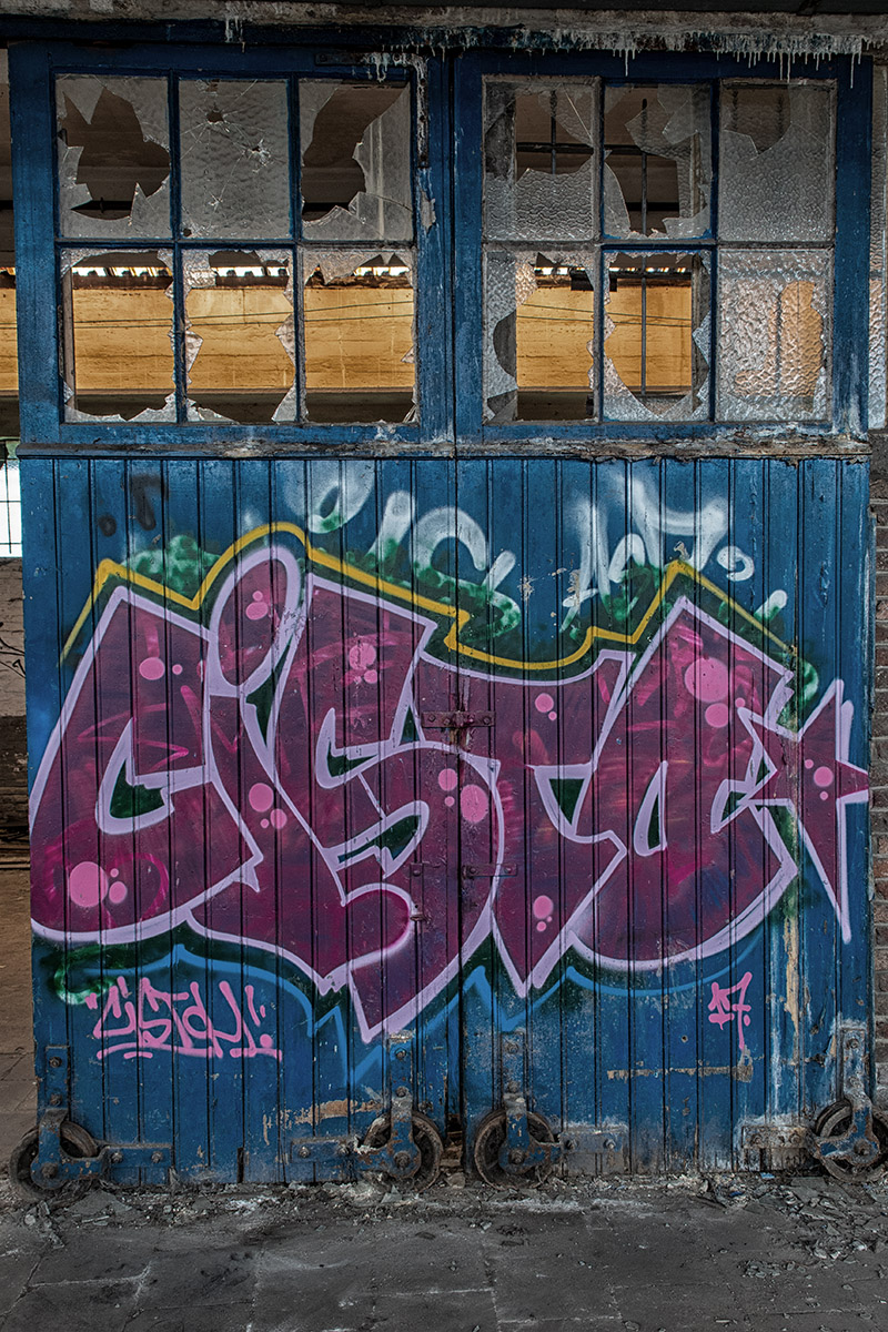 DSC 6795