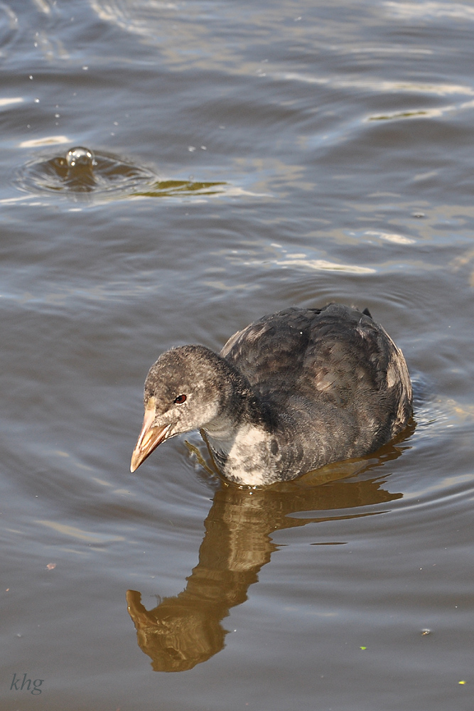 DSC 6856 1000e