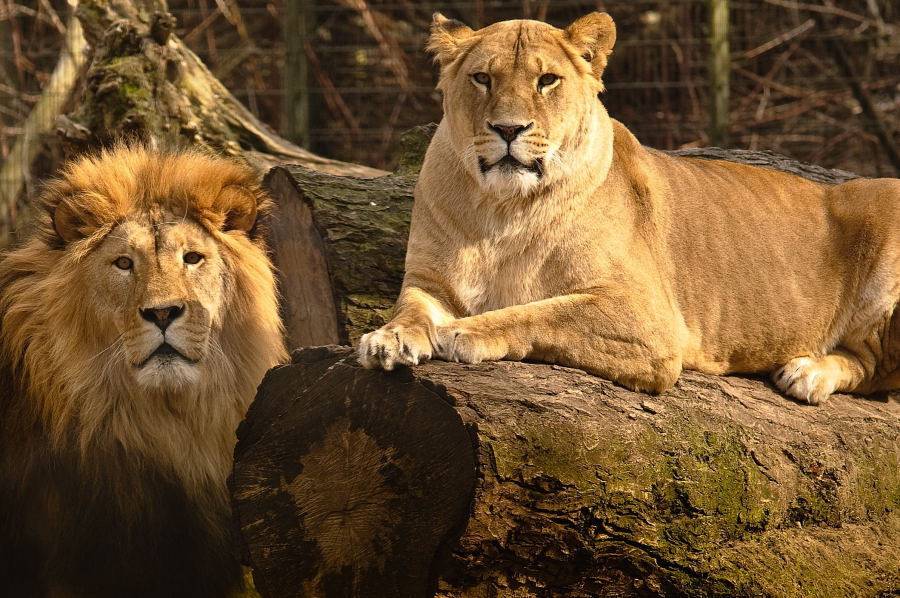 DSC 6876 02