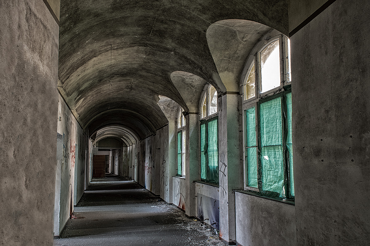 DSC 6951