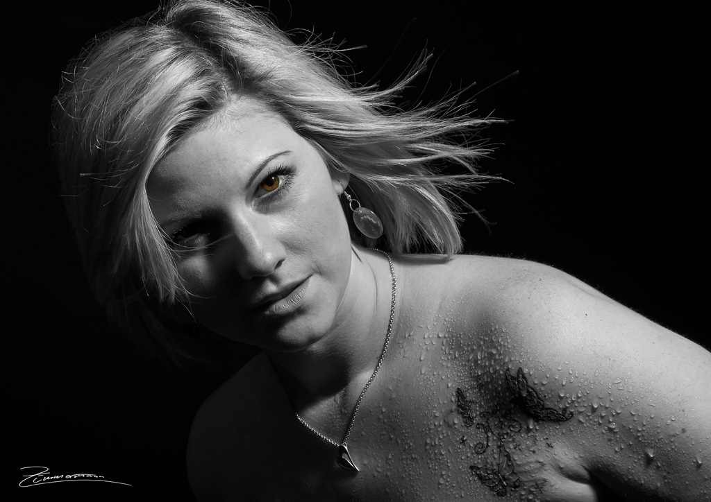 DSC 6991