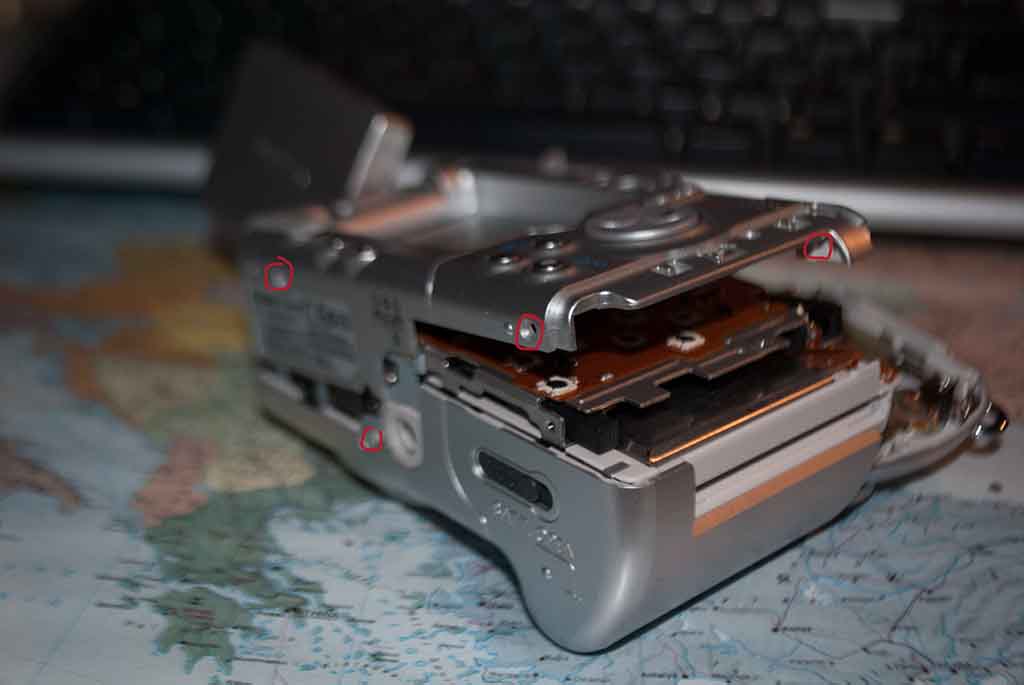 DSC 7117