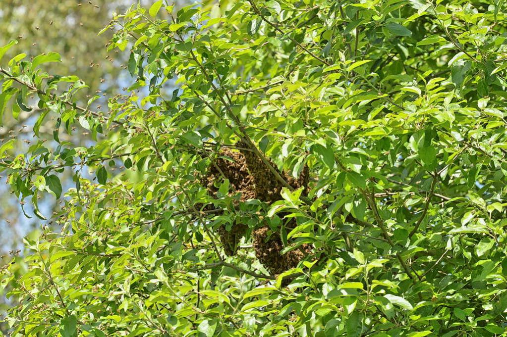 DSC 7199 DxO 9