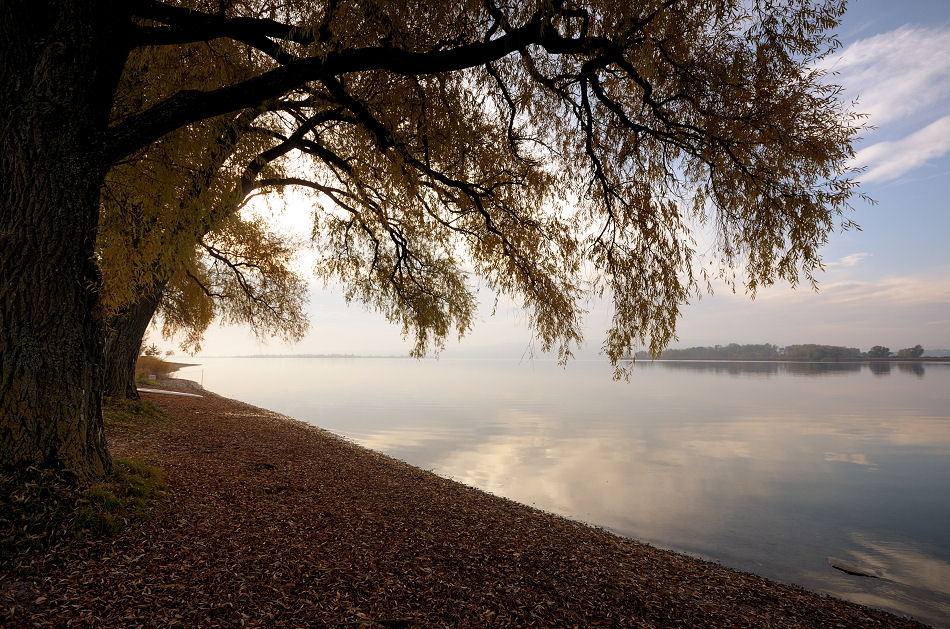 DSC 7211 Herbst am See Forum