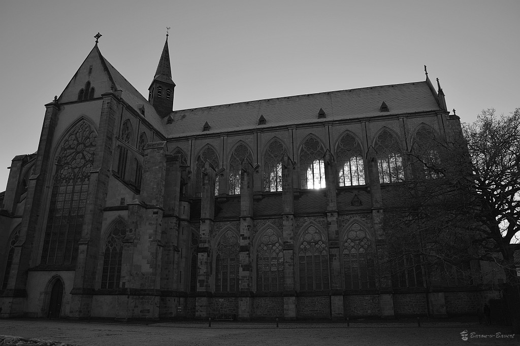 DSC 7279sw