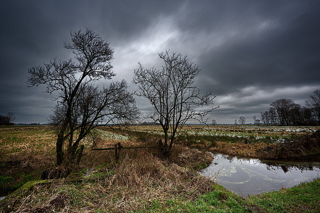 DSC 7301 Blockland2 HDR w