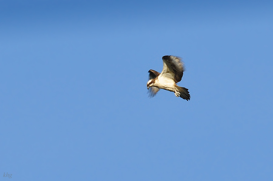 DSC 7407 900
