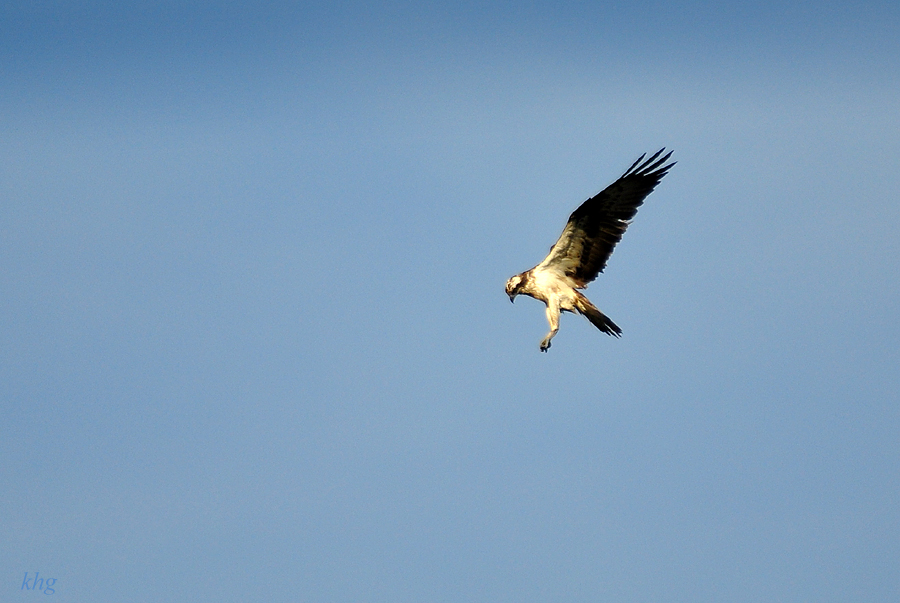 DSC 7458 900