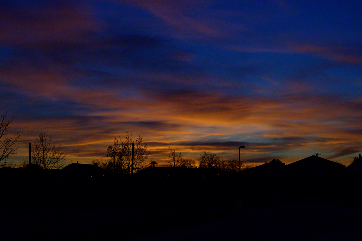 DSC 7490dxo
