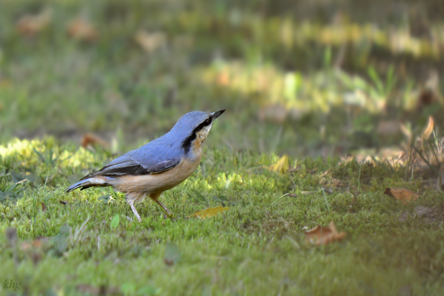 DSC 7542 900 a