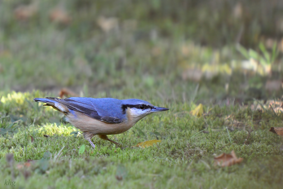 DSC 7543 900