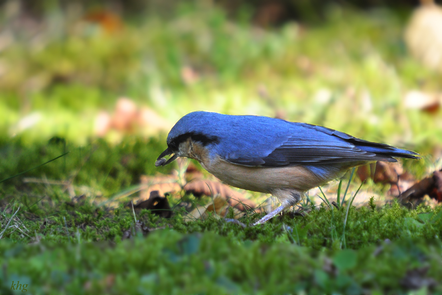 DSC 7559 900