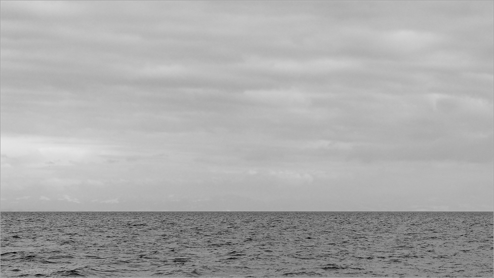 DSC 7587 BW