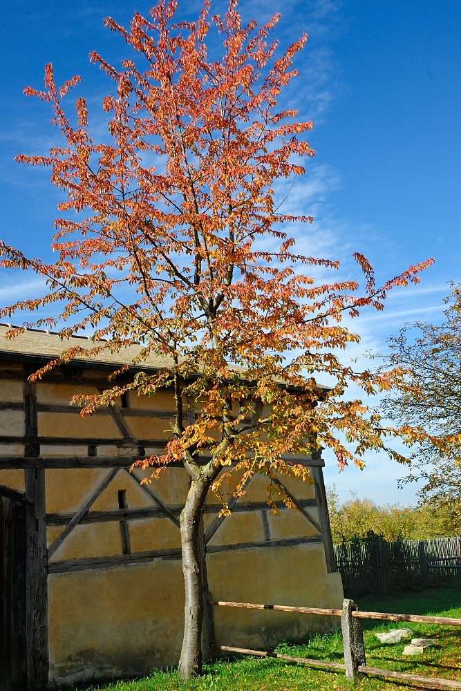 DSC 7637