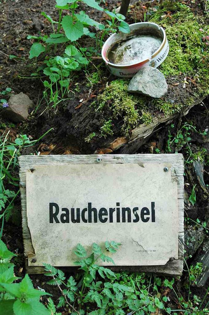 DSC 7691 low