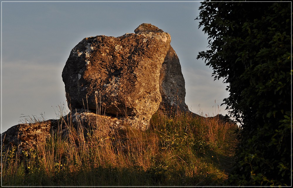 DSC 7711