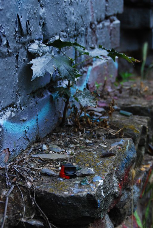 DSC 7791