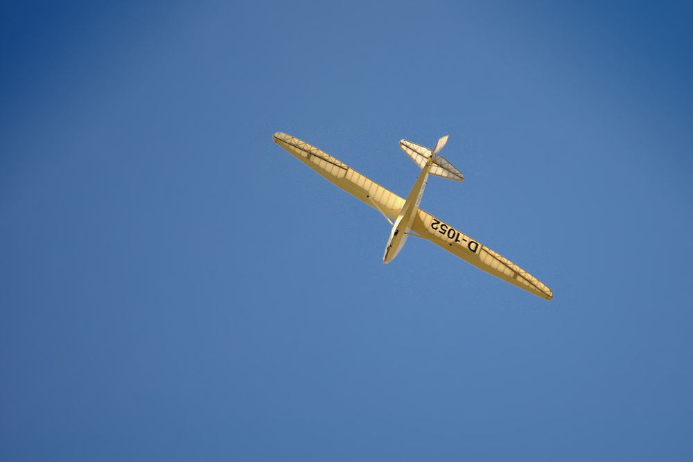DSC 7806 1000