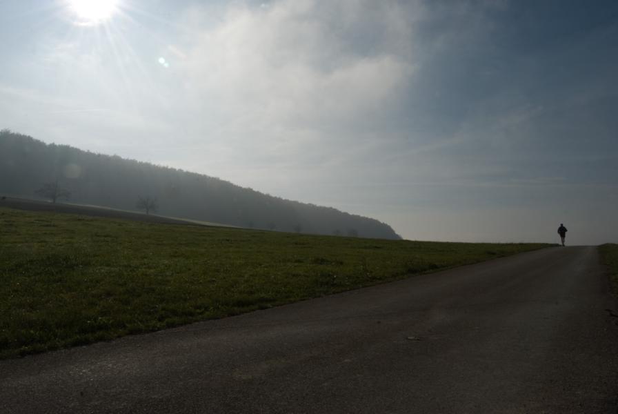 DSC 7808 Kopie