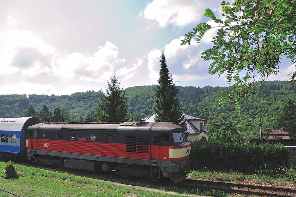 DSC 7831 Bardotka 749 121 0 01