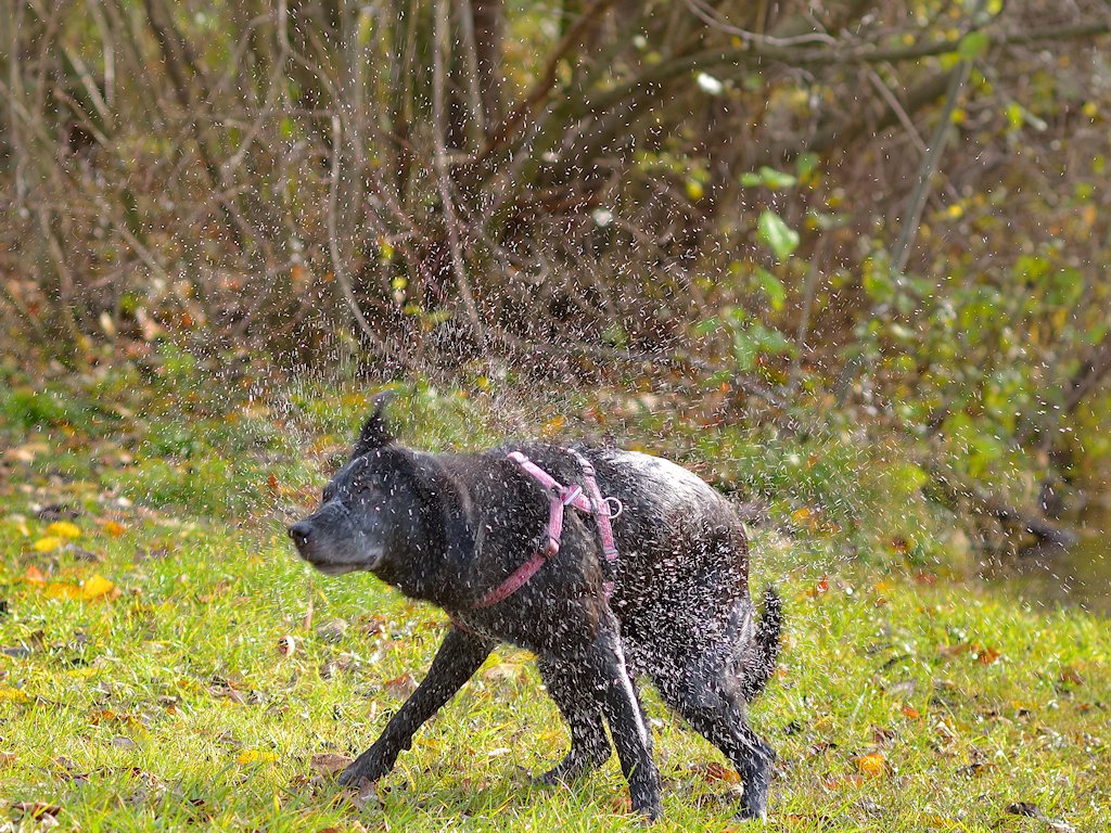 DSC 7875