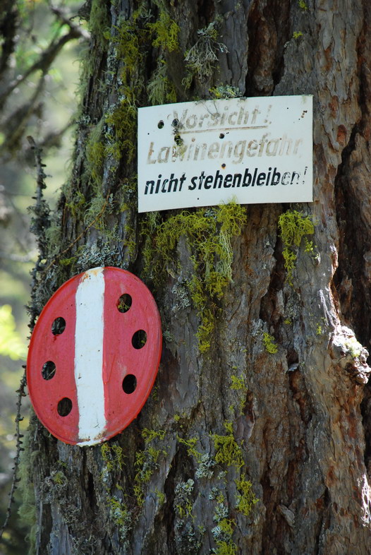 DSC 7889 Bildgröße ändern