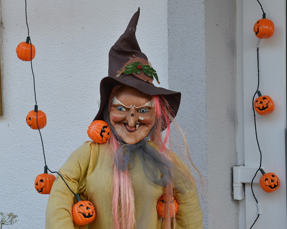DSC 7901 Halloween