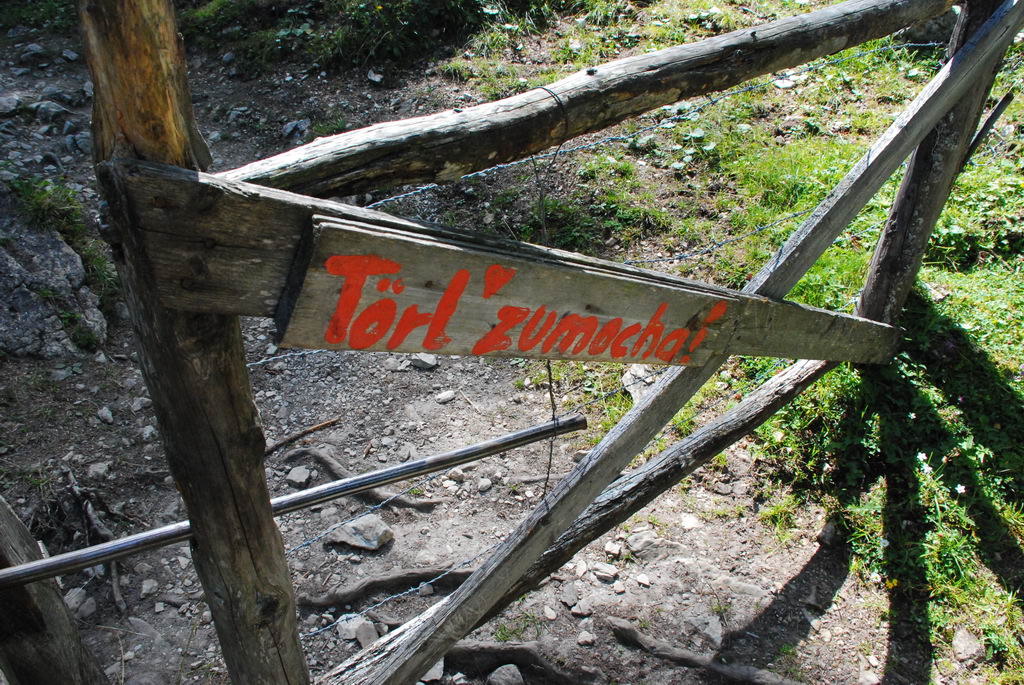 DSC 7911 Bildgröße ändern