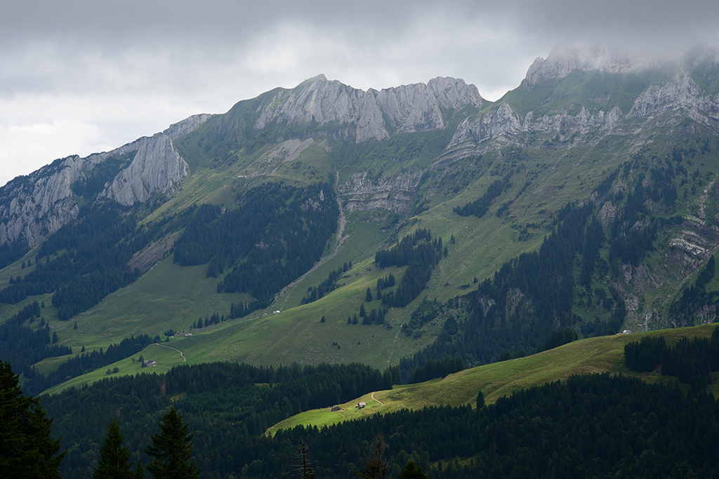 DSC 7968kws
