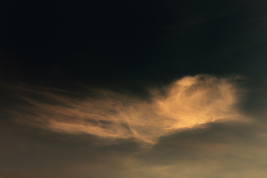 DSC 7991