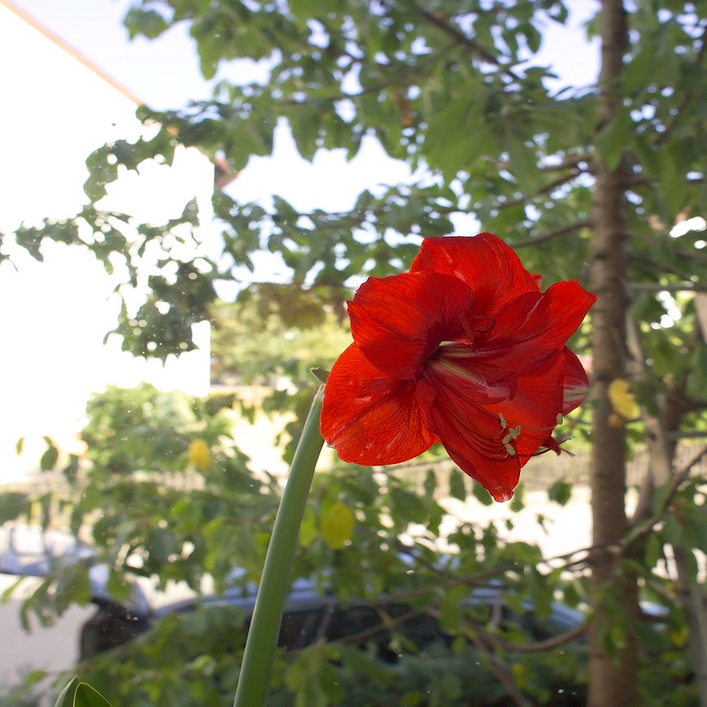 DSC 7997