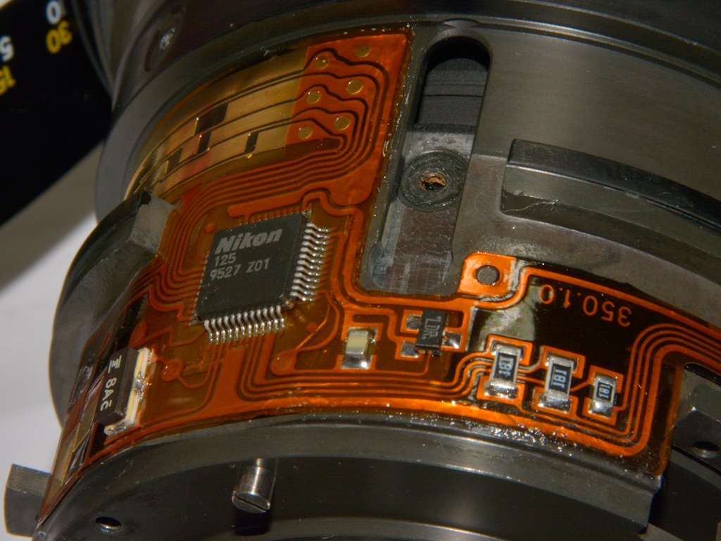 DSC 8003