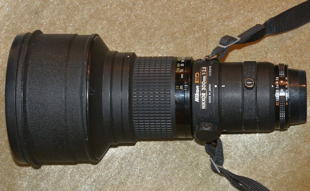 DSC 8008
