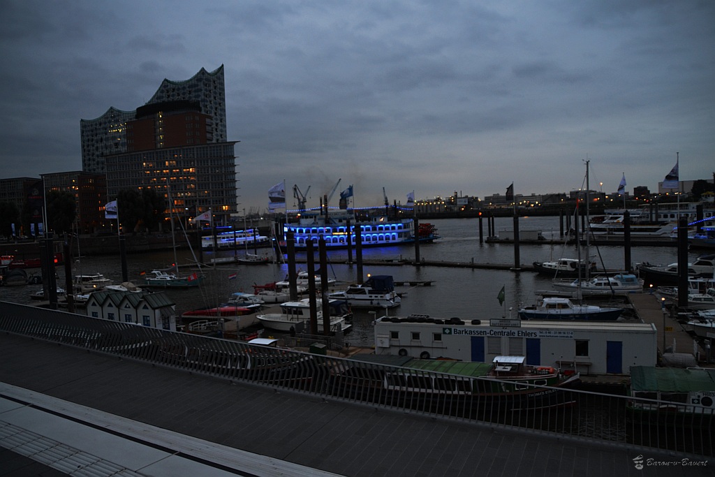 DSC 8013 102015
