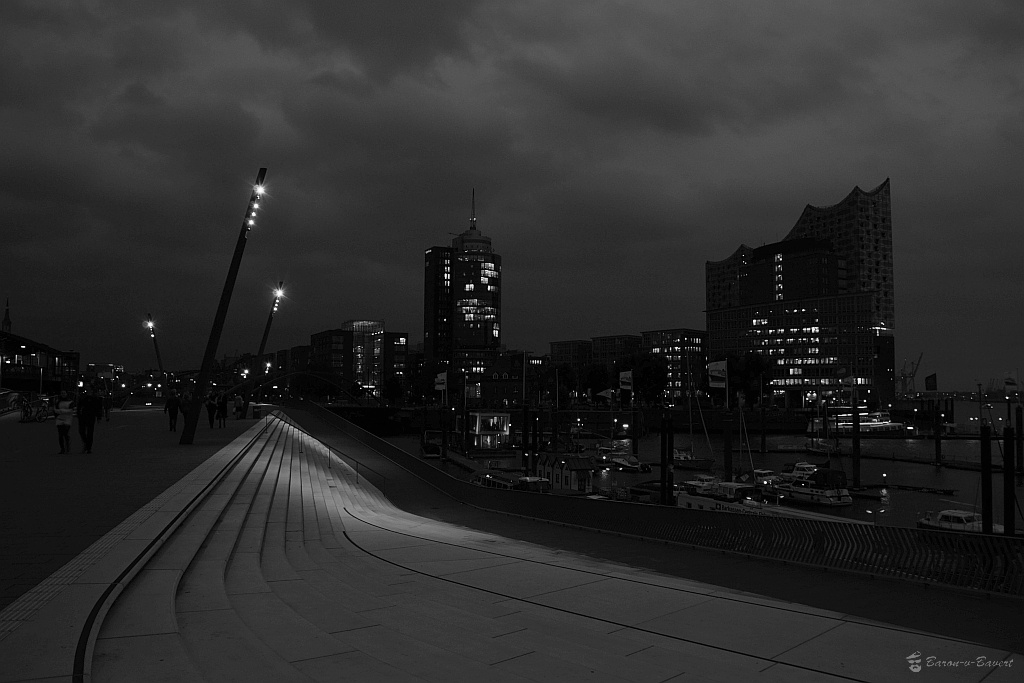 DSC 8028sw