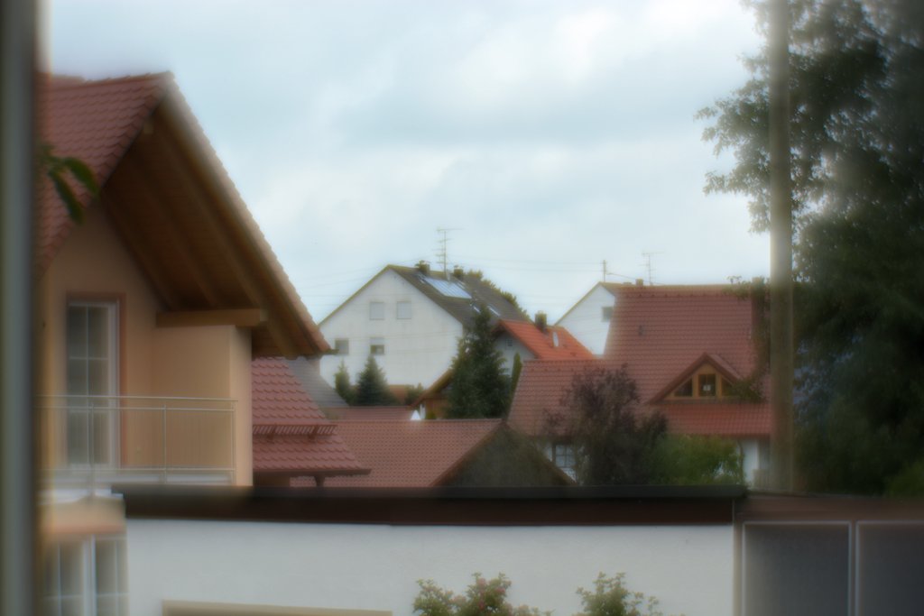 DSC 8034